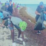 «Contragolpe» a la contaminación por desechos plásticos