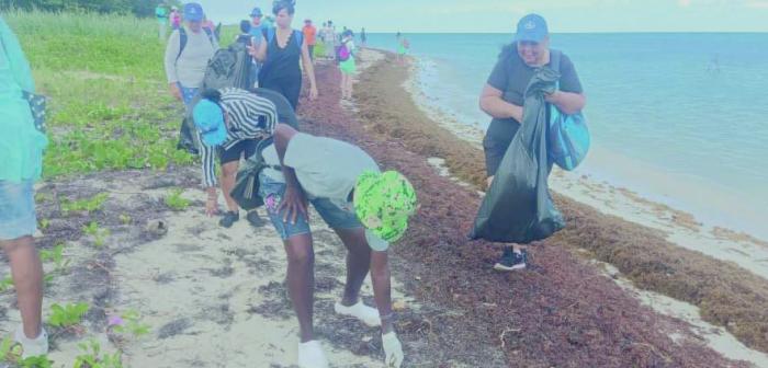 Lee más sobre el artículo «Contragolpe» a la contaminación por desechos plásticos
