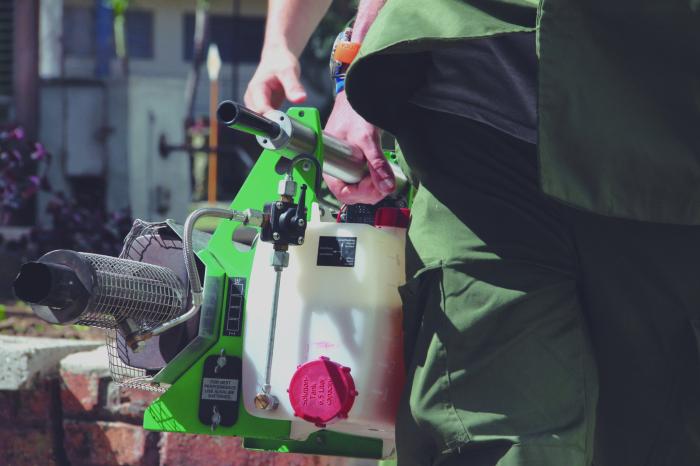 Proliferación del Aedes aegypti hace más complejo el cuadro epidemiológico en el país