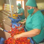 Amplia representación de productos de Ciego de Ávila en Fihav 2025