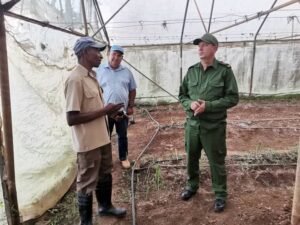Incentivan autoridades de la provincia la siembra de tabaco en Morón