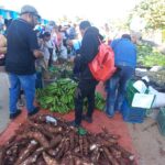 Ferias agroalimentarias  de fin de año benefician al pueblo avileño