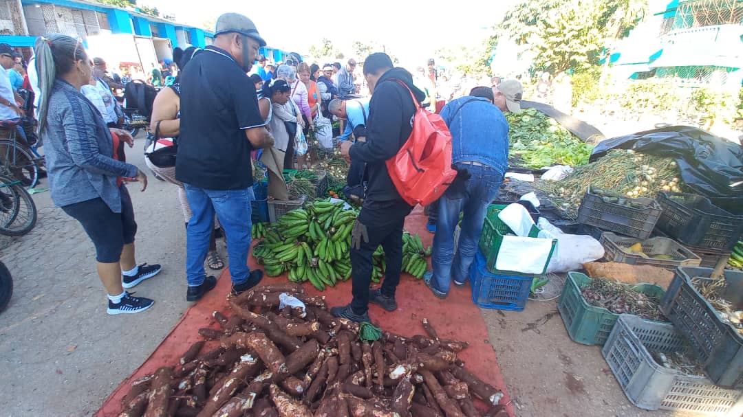 En este momento estás viendo Ferias agroalimentarias  de fin de año benefician al pueblo avileño