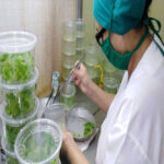 Sobresale Ciego de Ávila en ciencia e innovación durante 2025