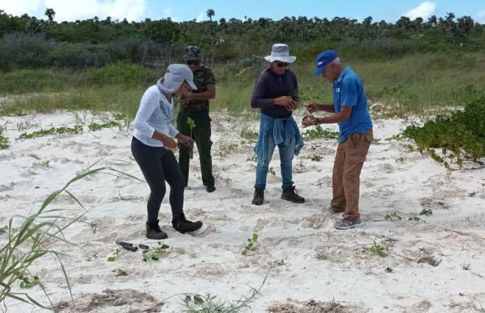 En este momento estás viendo Realizan proyectos en Gran Humedal del Norte de Ciego de Ávila