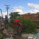 Ciego de Ávila mantiene vigilancia epidemiológica ante arbovirosis
