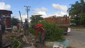 Ciego de Ávila mantiene vigilancia epidemiológica ante arbovirosis