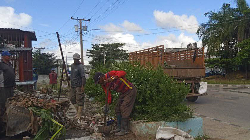 Lee más sobre el artículo Ciego de Ávila mantiene vigilancia epidemiológica ante arbovirosis