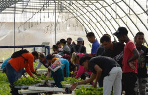 Lee más sobre el artículo Inicia UJC proceso político Mis manos por Cuba