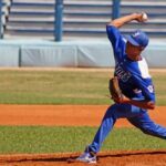 Leones y Cachorros ganan primer pulso en play off de 64 SNB