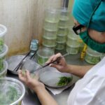 Ciego de Ávila potencia ciencia y tecnología