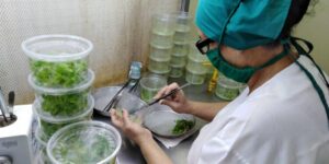 Ciego de Ávila potencia ciencia y tecnología