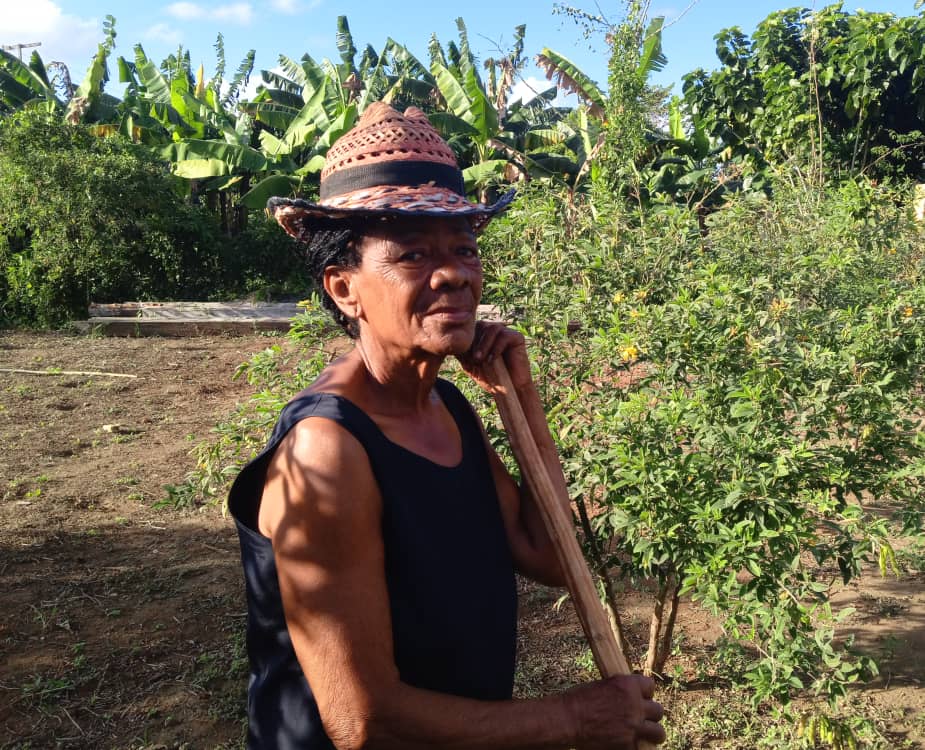 Voluntad sobre la tierra: la historia de Sara