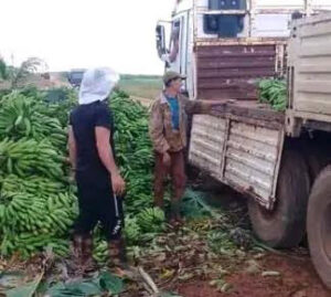 Producir, el mejor homenaje