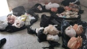 Lee más sobre el artículo Seize 121 Kilograms of Protected Species Bound for the United States