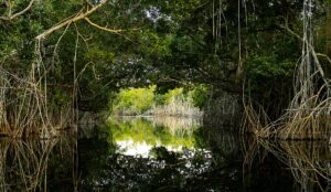 Los beneficios del Gran Humedal para el municipio de Morón