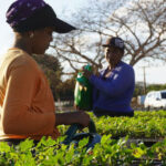 Fomentan igualdad de género en comunidades costeras de Cuba