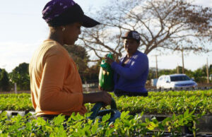 Lee más sobre el artículo Fomentan igualdad de género en comunidades costeras de Cuba