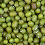 Fomenta Ciego de Ávila producción de plantas proteicas y oleaginosas