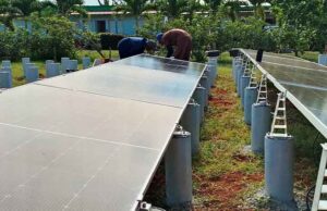 Impulsa Tabacuba transición energética en producción tabacalera