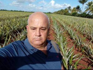 Ciego de Ávila mantiene su tradición como Reina de la Piña