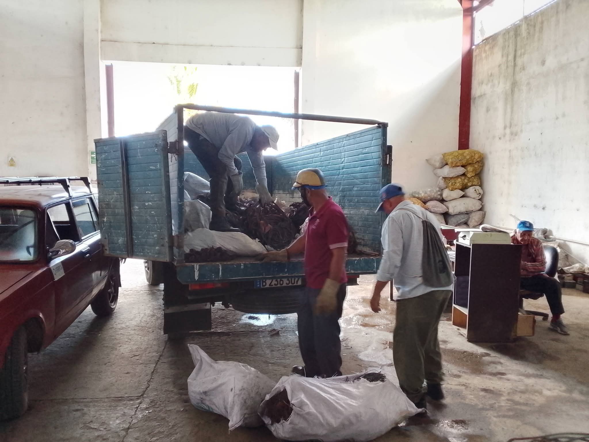 En este momento estás viendo Promueven campaña de reciclaje en Ciego de Ávila