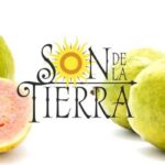 Son de la Tierra crea sabor y calidad de excelencia