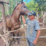 Los animales requieren del afecto humano