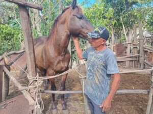 Los animales requieren del afecto humano