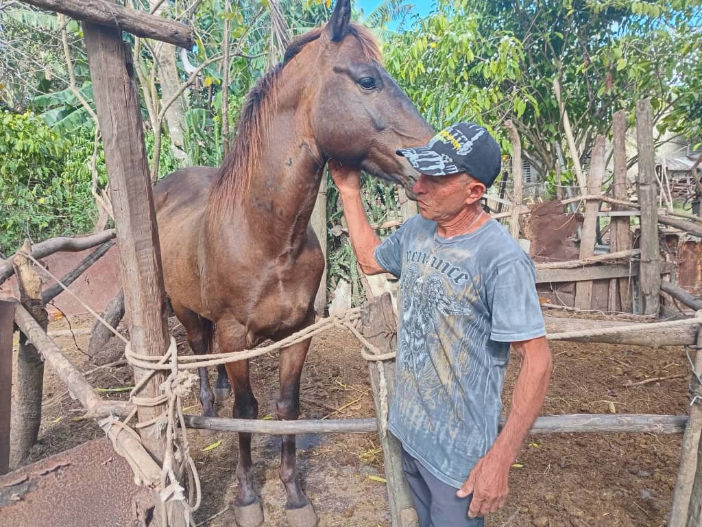 En este momento estás viendo Los animales requieren del afecto humano