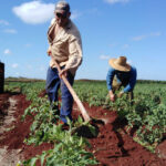 ¿Municipalizarlo todo?