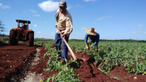 Lee más sobre el artículo Localise everything?