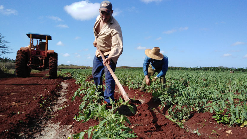 Lee más sobre el artículo ¿Municipalizarlo todo?