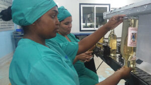 Ember, su nuevo brindis