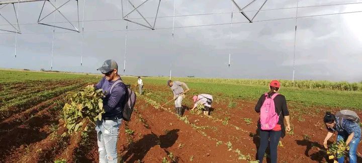En este momento estás viendo Voluntary Day to Celebrate Anniversaries of Pioneers and Youth