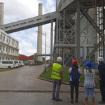 Forman gestores de empleos verdes en Cuba