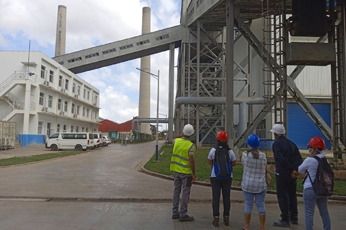 Forman gestores de empleos verdes en Cuba