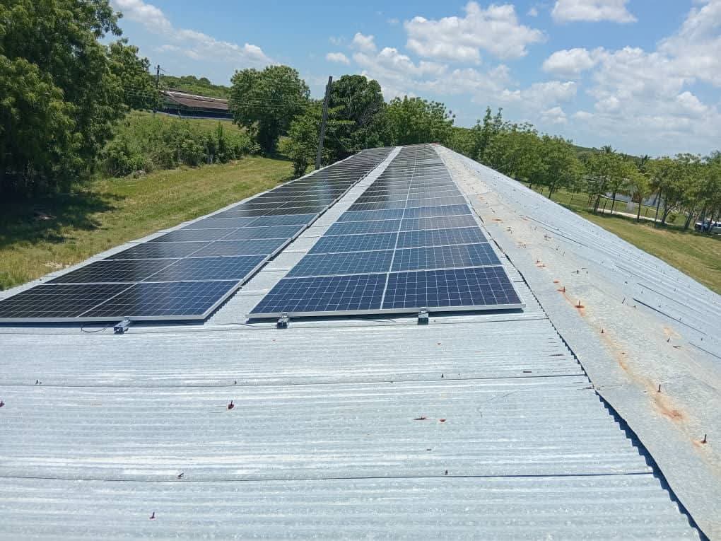 Lee más sobre el artículo Sistema solar fotovoltaico impulsará producción avícola en Ciego de Ávila