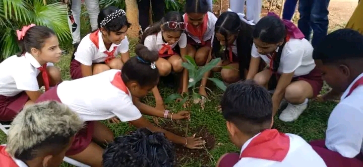 En este momento estás viendo Morón: The Pupil’s Tree Planting as a Rite of Passage to Secondary School