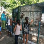 Zoológico de Ciego de Ávila impulsa el verano con el círculo infantil «Amigos del Bienestar Animal»