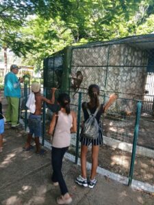 Lee más sobre el artículo Zoológico de Ciego de Ávila impulsa el verano con el círculo infantil «Amigos del Bienestar Animal»