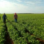 Ciego de Ávila implementa Estrategias de Desarrollo Municipal en sus diez territorios