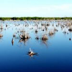 Embalses al 46 % y pozos en estado crítico en Ciego de Ávila