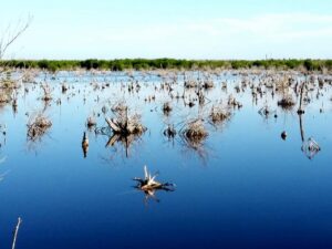 Embalses al 46 % y pozos en estado crítico en Ciego de Ávila