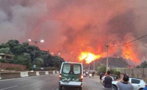 Lee más sobre el artículo Canciller cubano lamenta víctimas por incendios forestales en Argelia