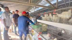 Valdés Mesa evalúa la producción de alimentos en Ciego de Ávila