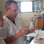Avileños convierten algas marinas en fertilizante para rehabilitar dunas costeras